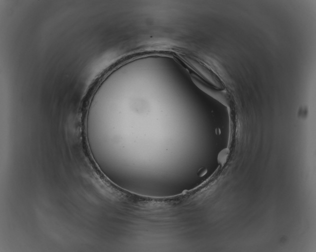 X0000089911164200707060953