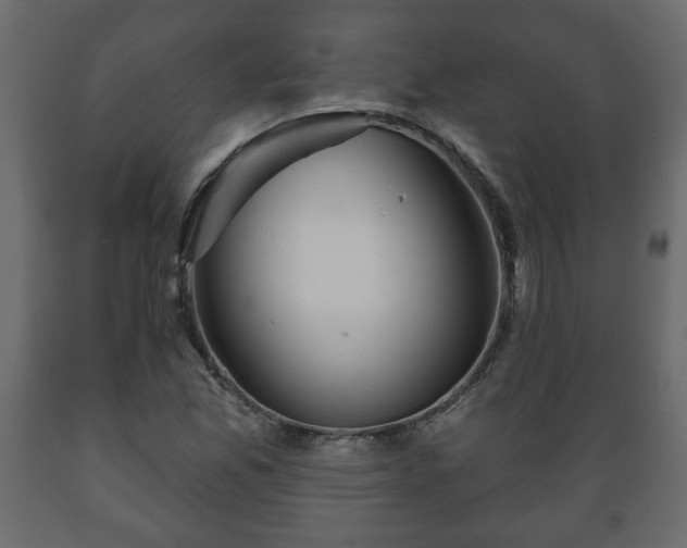 X0000089911165200707060953