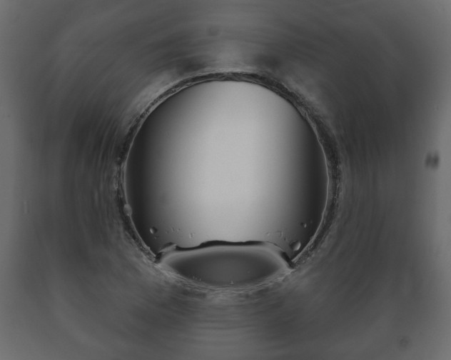 X0000089911169200707060953