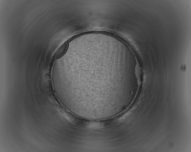 X0000089911170200707060953