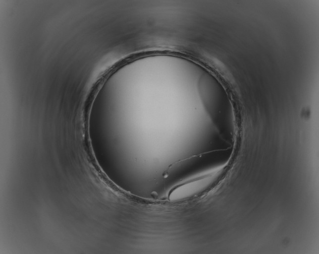 X0000089911172200707060953
