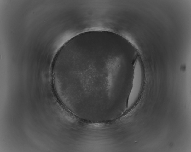 X0000089911173200707060953
