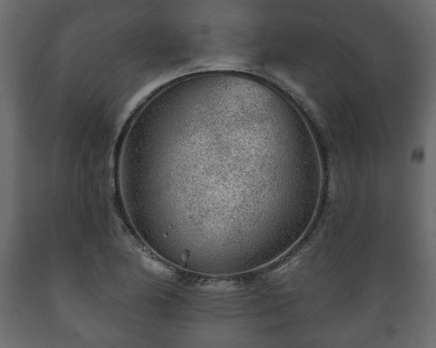 X0000089911174200707060953