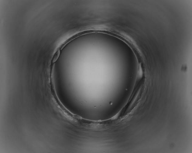 X0000089911176200707060953