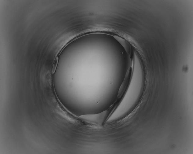 X0000089911177200707060953