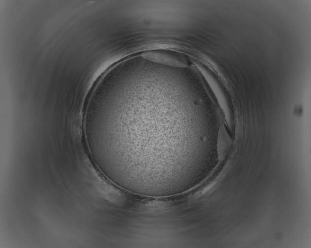 X0000089911178200707060953