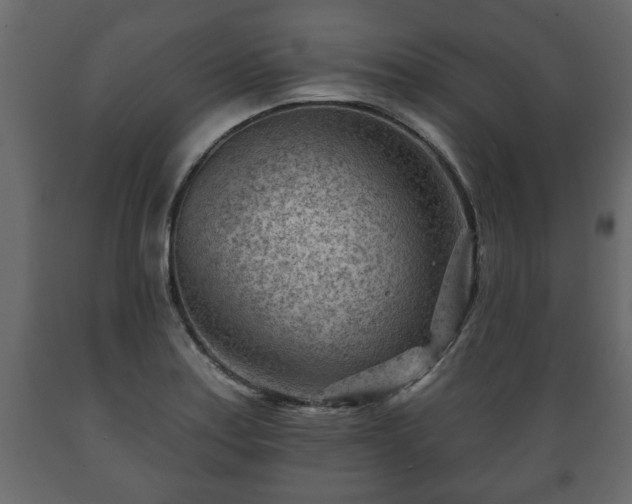 X0000089911179200707060953