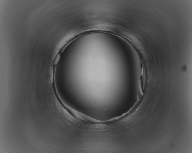 X0000089911180200707060953