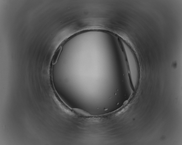 X0000089911181200707060953