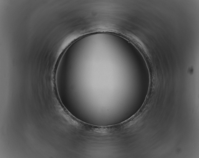 X0000089911182200707060953
