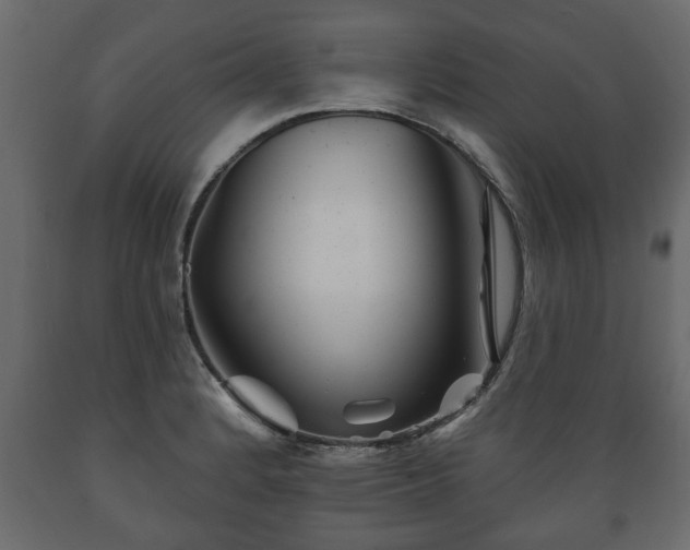 X0000089911184200707060953