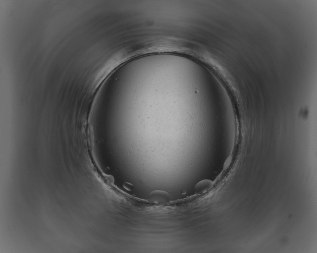 X0000089911185200707060953