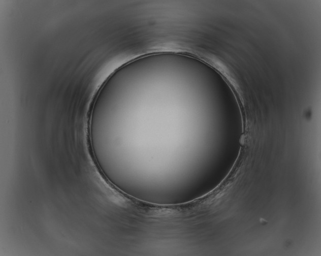 X0000089911187200707060953