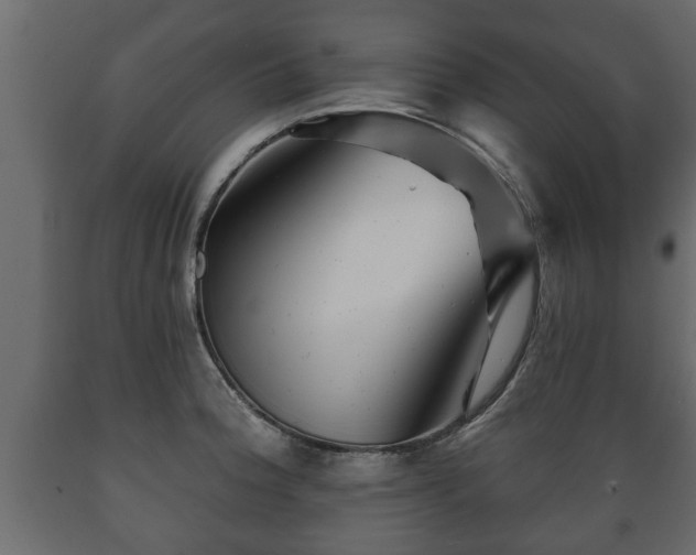 X0000089911188200707060953