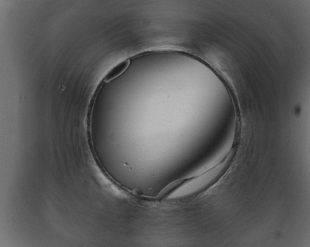 X0000089911189200707060953