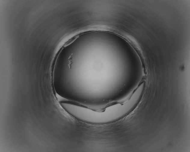 X0000089911192200707060953