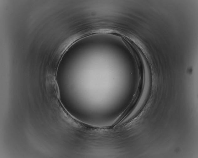 X0000089911193200707060953