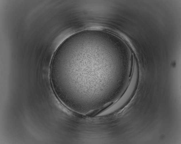 X0000089911194200707060953