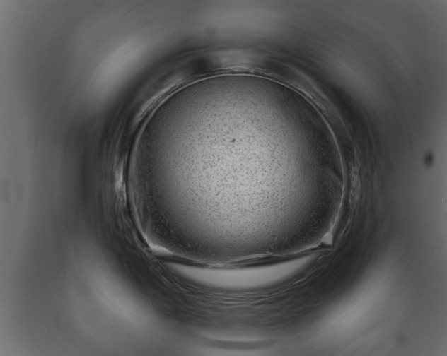 X0000089911198200707060952