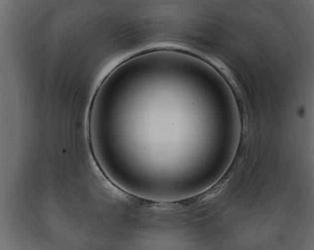 X0000089911199200707060952