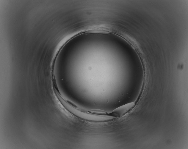 X0000089911200200707060952