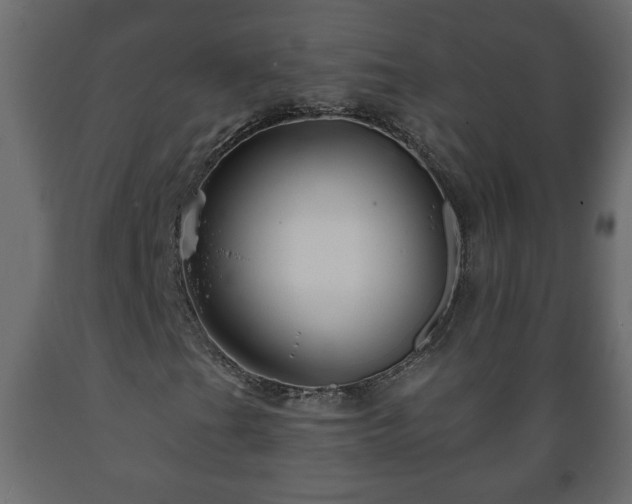 X0000089911201200707060952