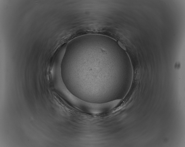 X0000089911202200707060952