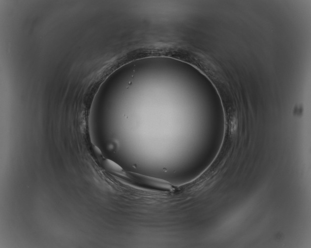 X0000089911204200707060952