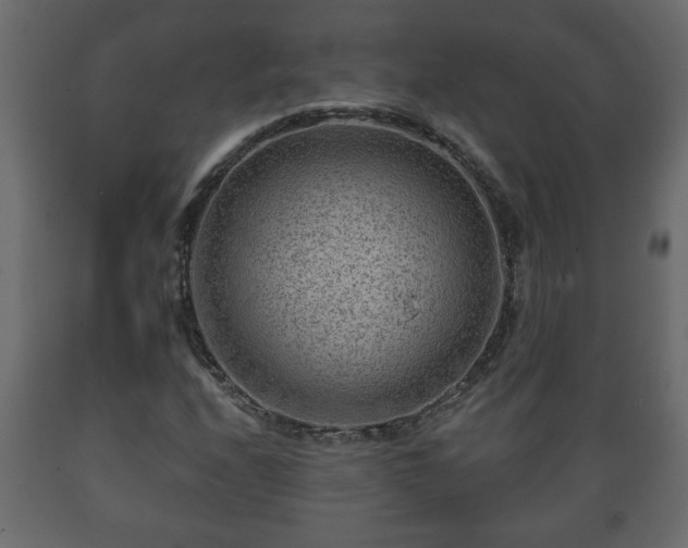 X0000089911208200707060952