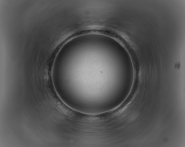 X0000089911209200707060952
