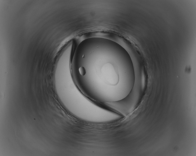 X0000089911210200707060952