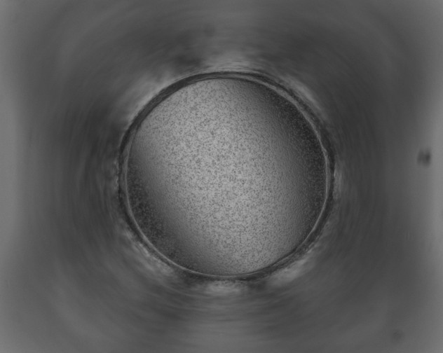 X0000089911212200707060952