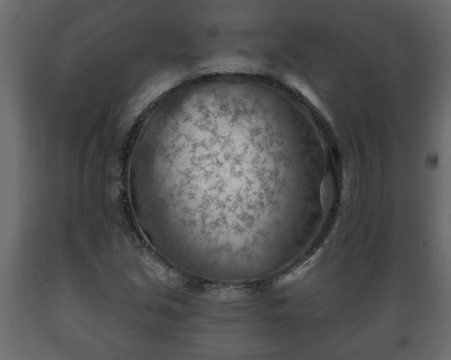 X0000089911213200707060952