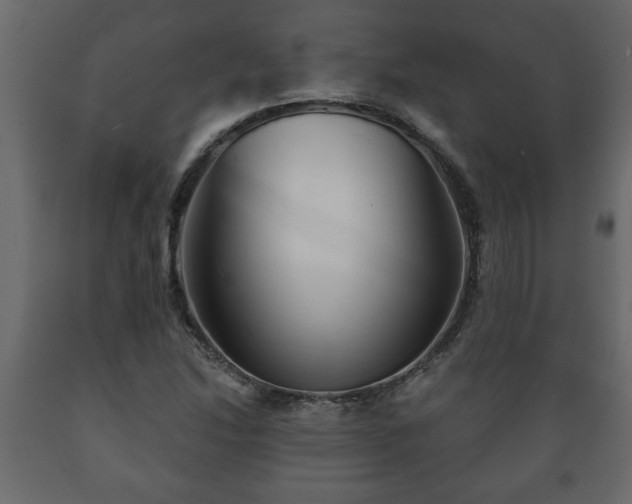 X0000089911214200707060952