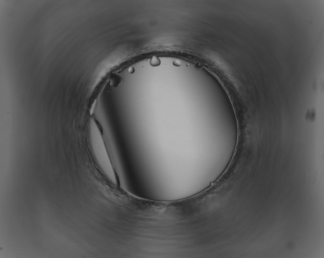 X0000089911218200707060952