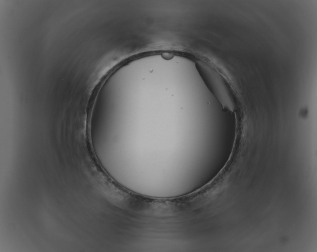 X0000089911220200707060952