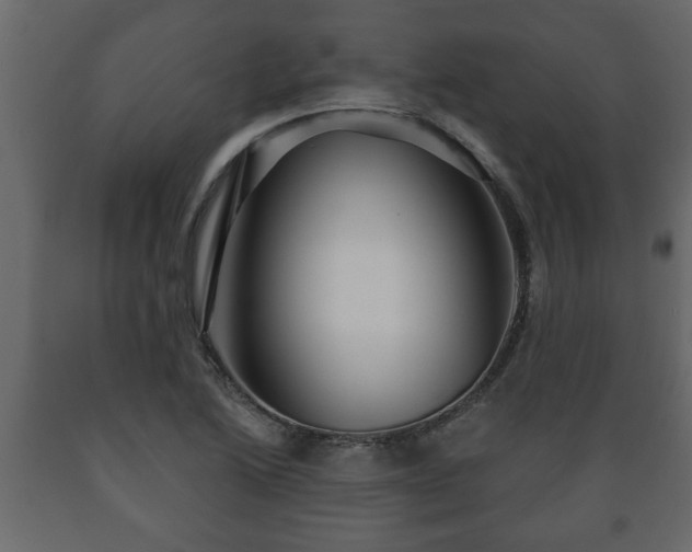 X0000089911222200707060952