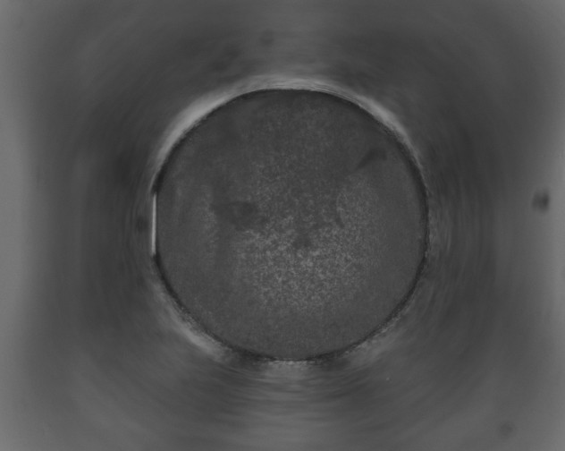 X0000089911223200707060952