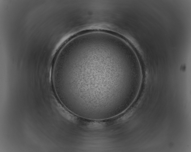 X0000089911224200707060952
