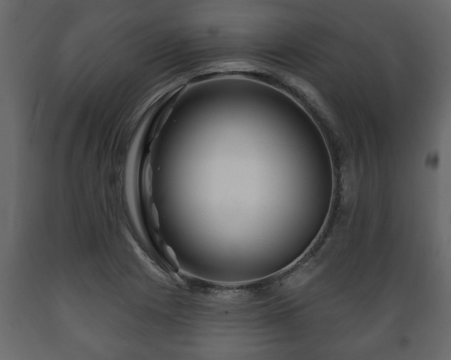 X0000089911225200707060952