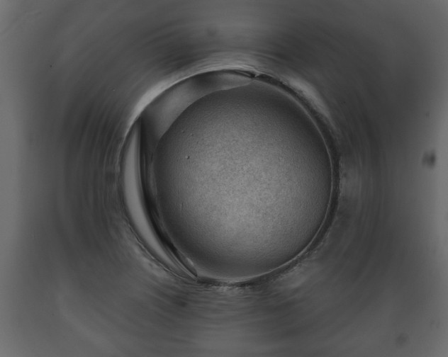 X0000089911226200707060952
