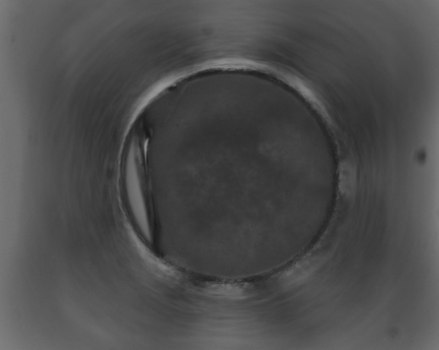 X0000089911229200707060952