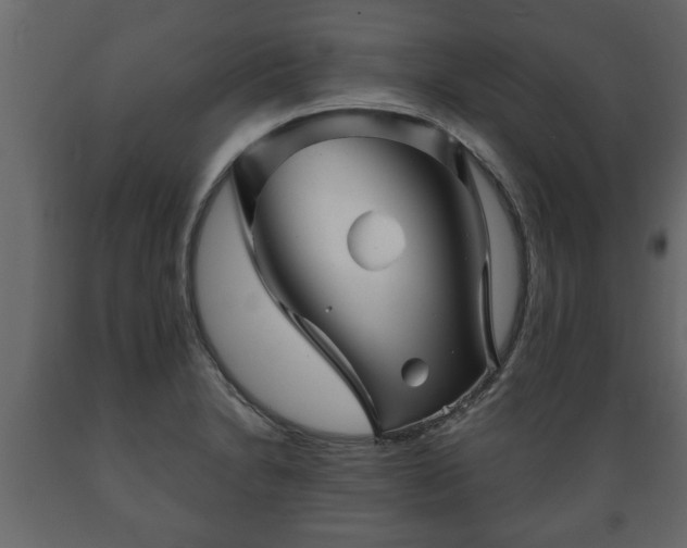 X0000089911230200707060952