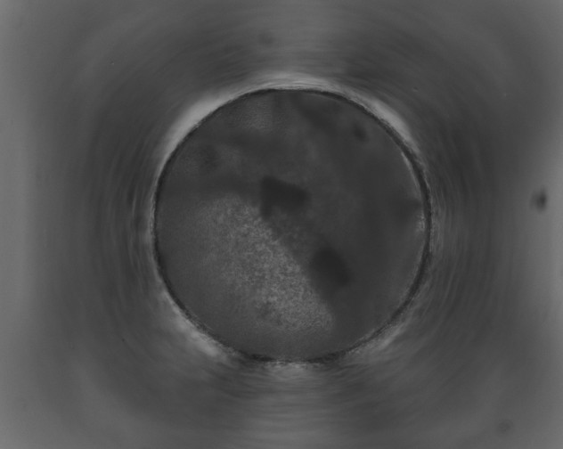 X0000089911231200707060952