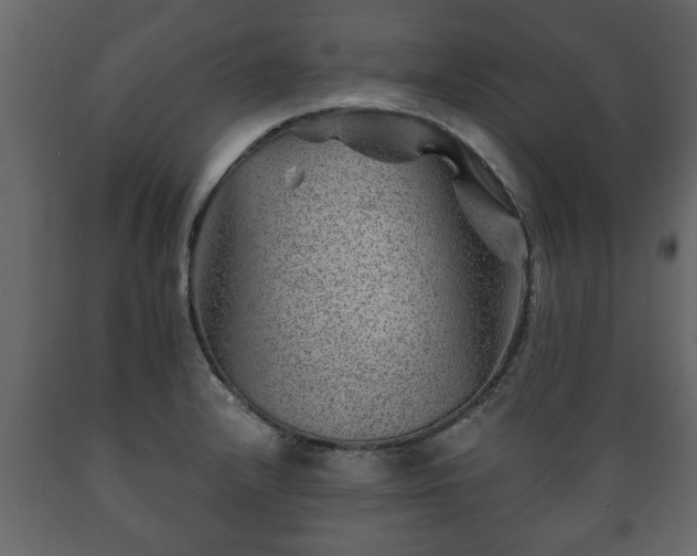 X0000089911232200707060952