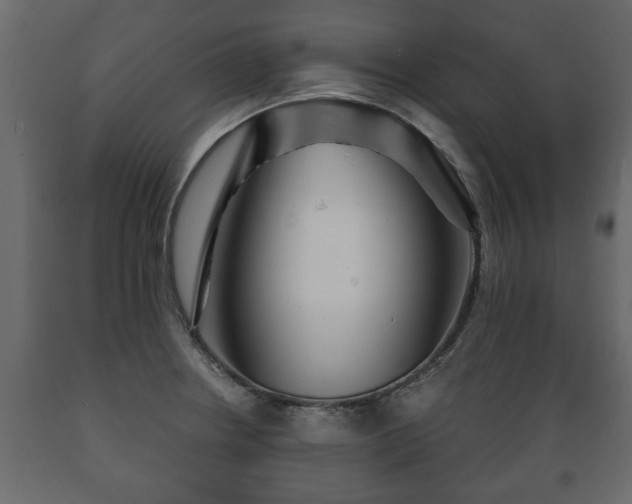 X0000089911234200707060952