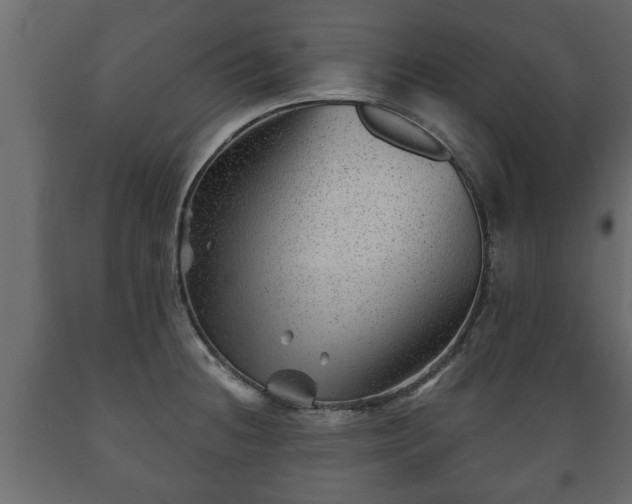 X0000089911236200707060952