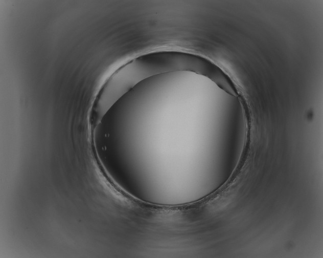 X0000089911238200707060952