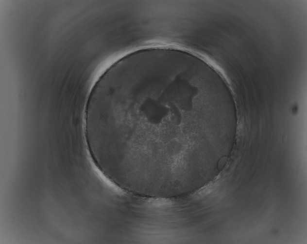 X0000089911239200707060952