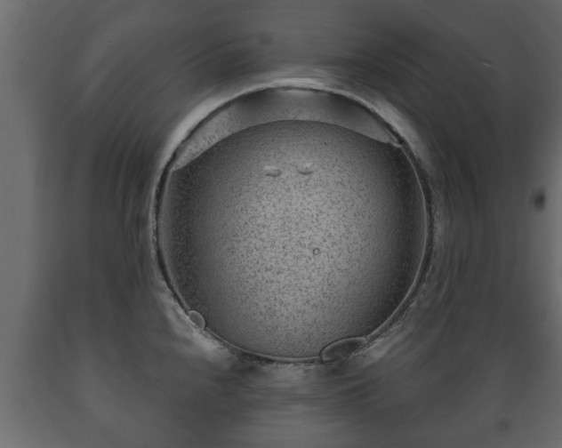 X0000089911240200707060952